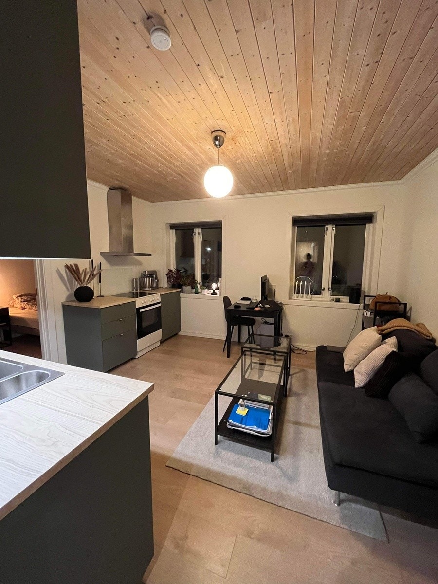 Stue/kjøkken Galleribilde