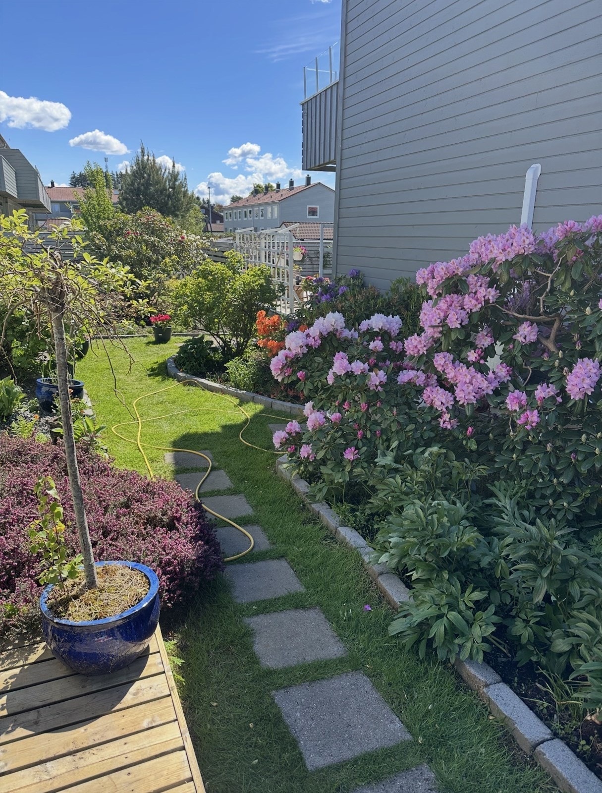 Selgers sommerbilder Galleribilde