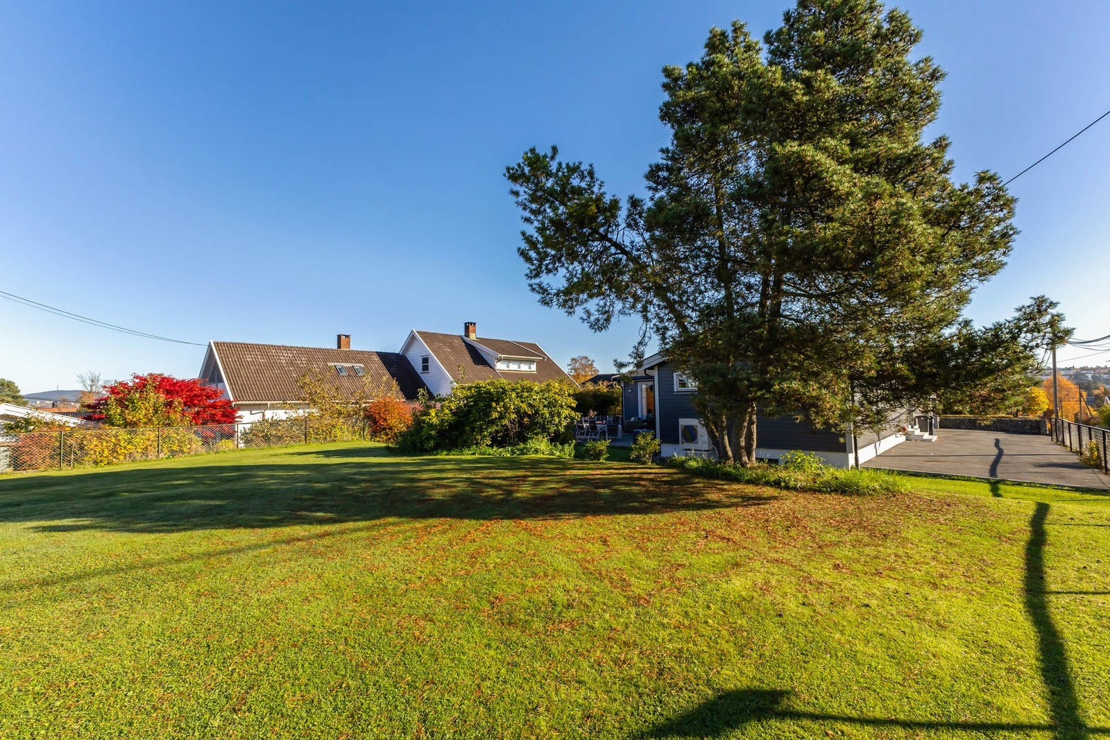 Stor hage Galleribilde