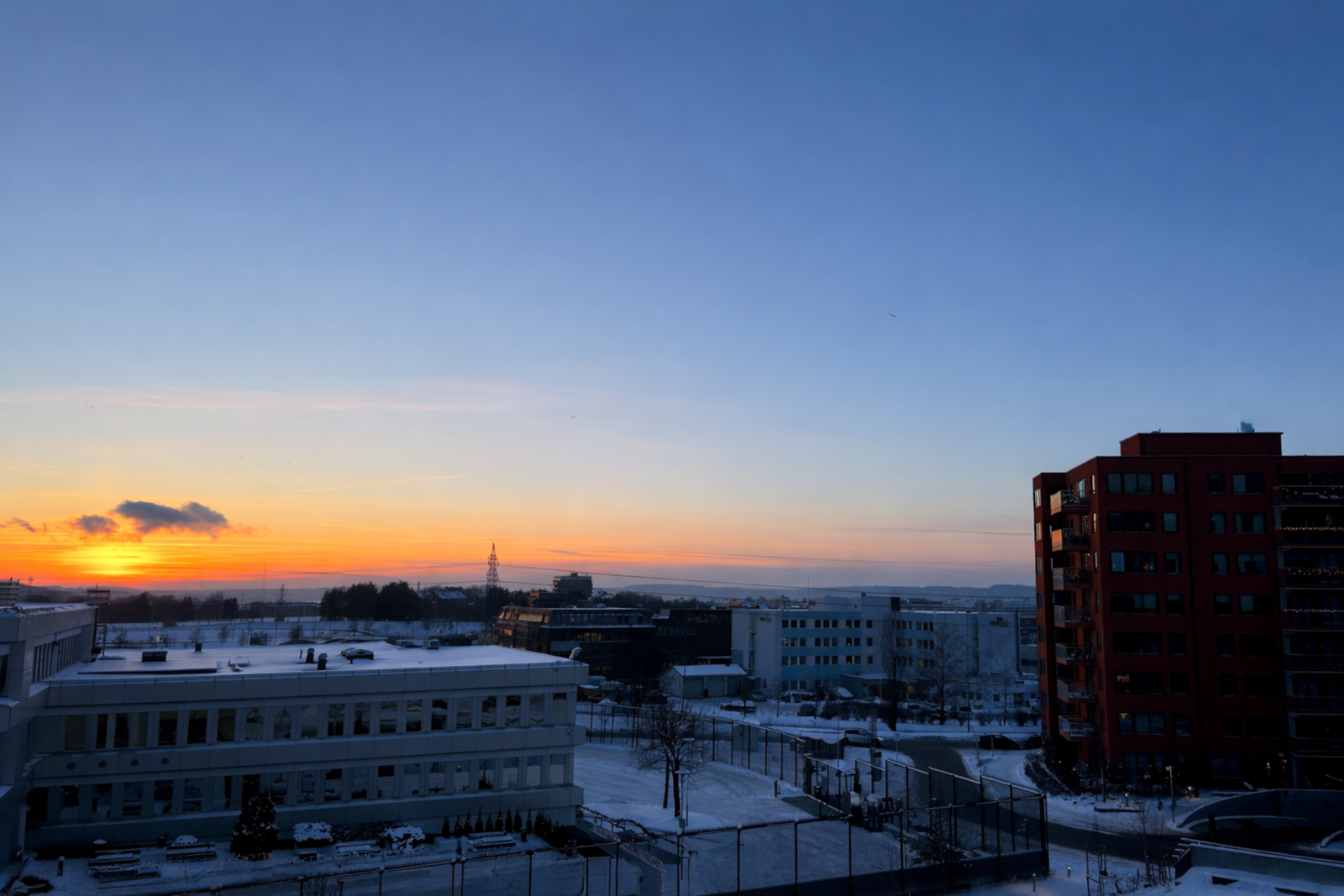 Selgers bilde. Galleribilde