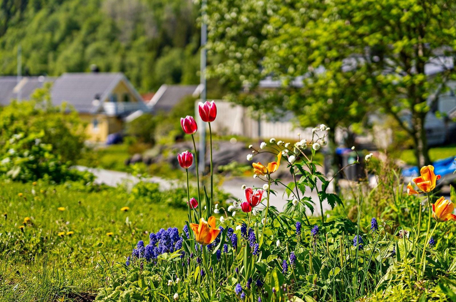 Ditt nye hjem? Galleribilde