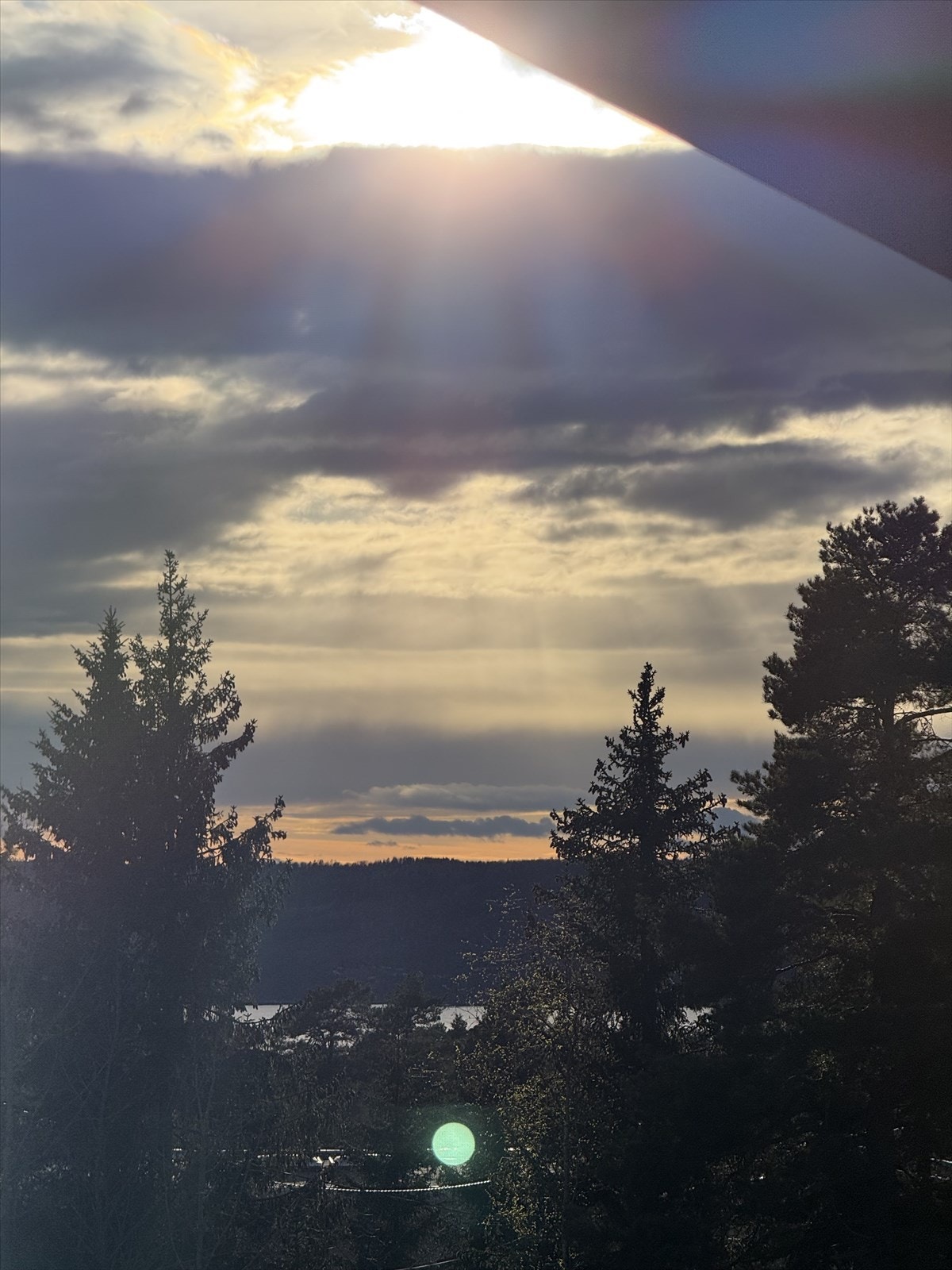 Privat bilde. Galleribilde