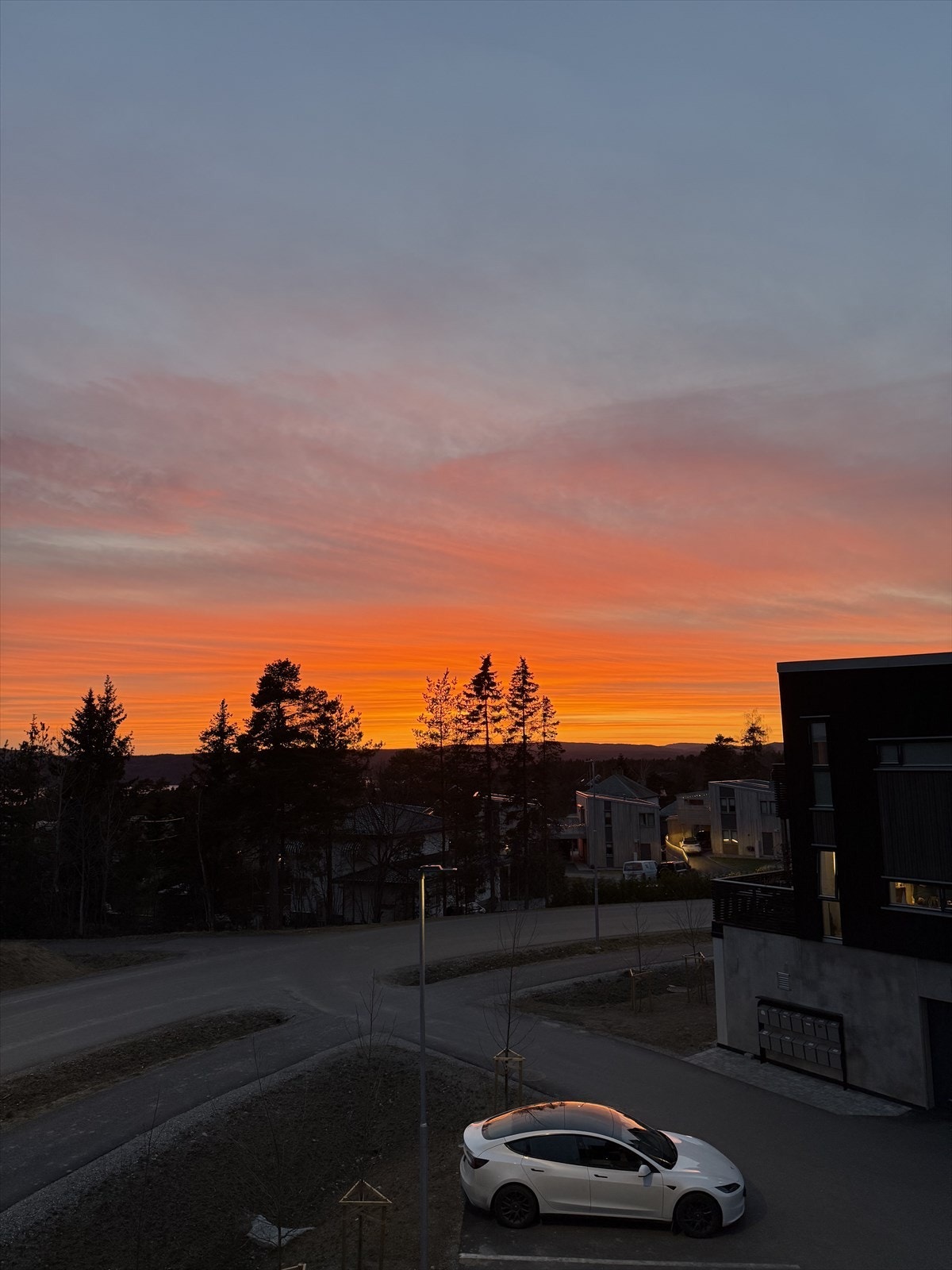 Privat bilde. Galleribilde