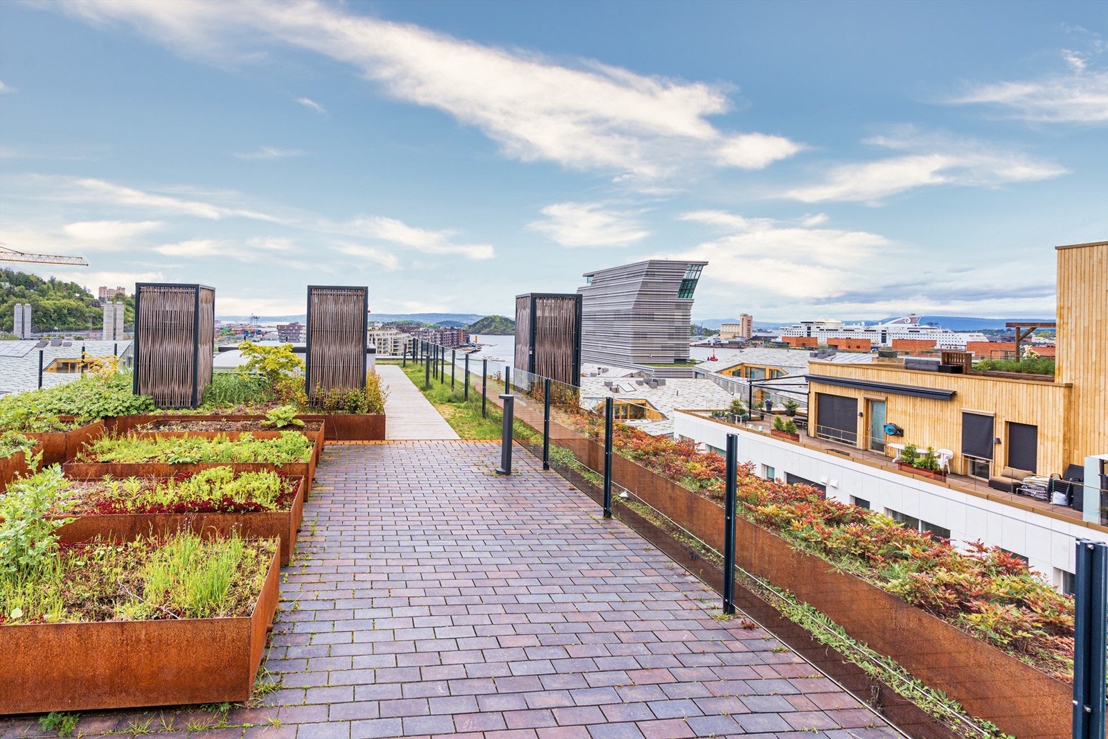 Felles takterrasse Galleribilde