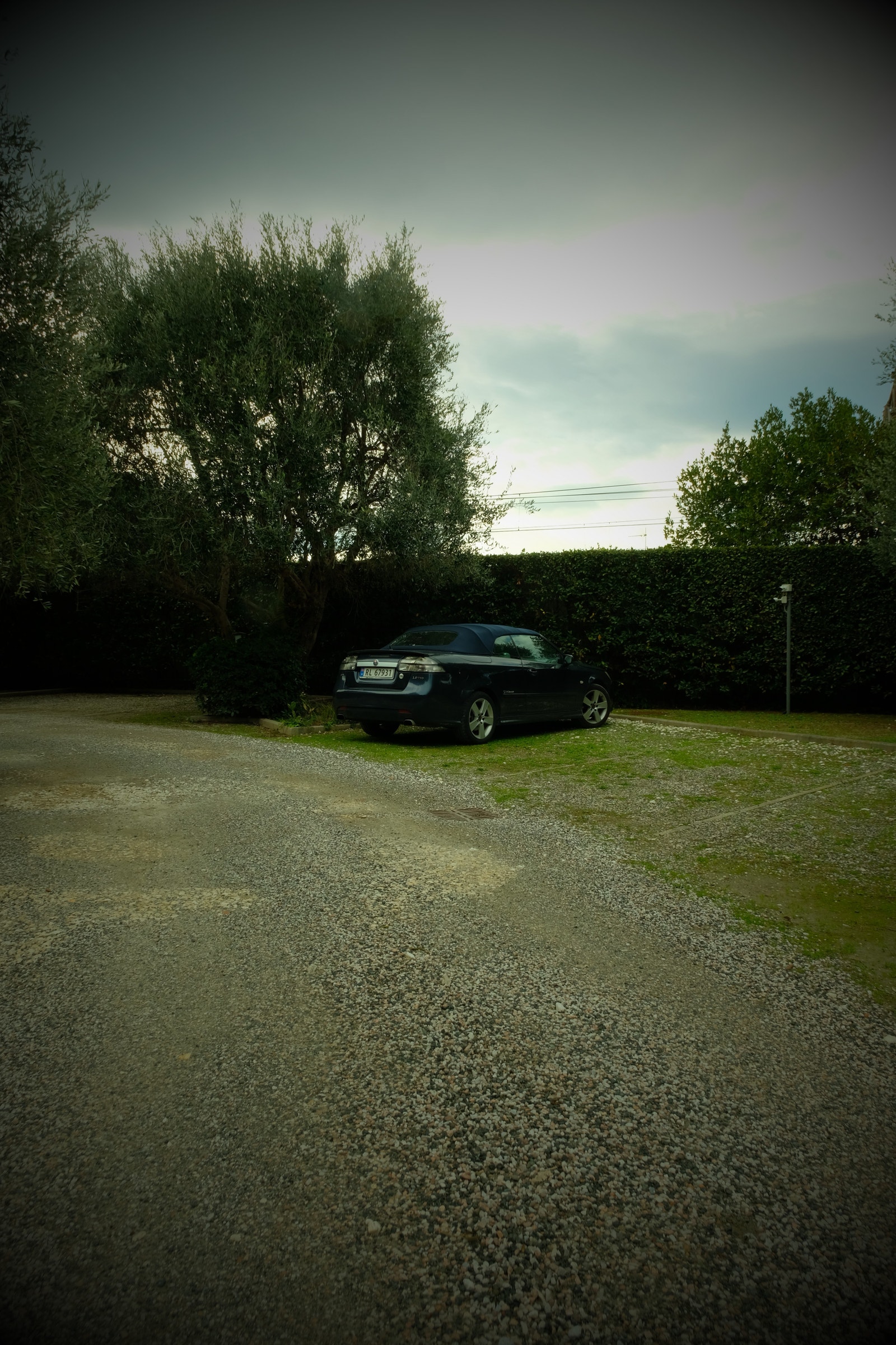 Felles stor hage Galleribilde