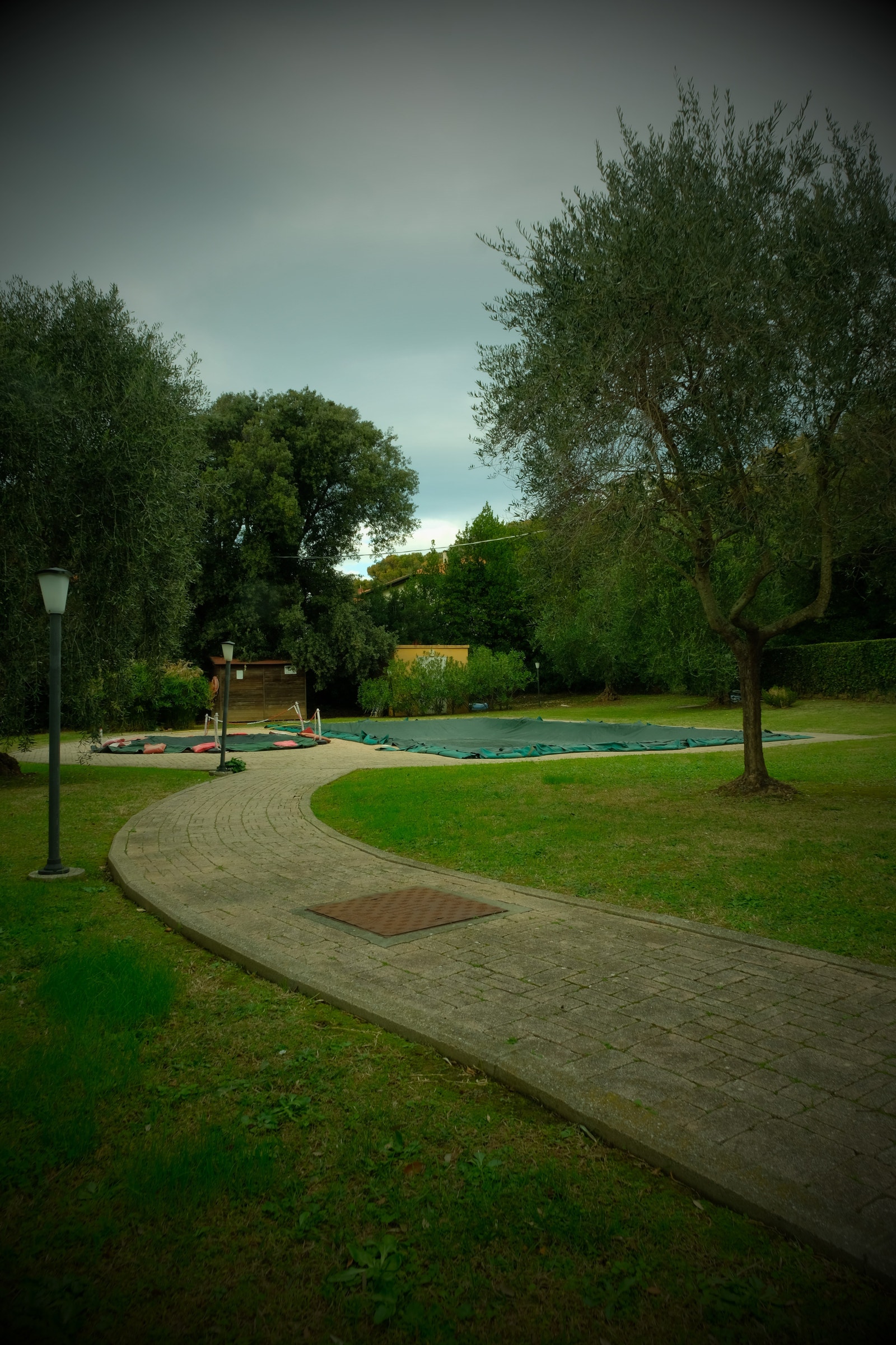 Felles basseng. Galleribilde