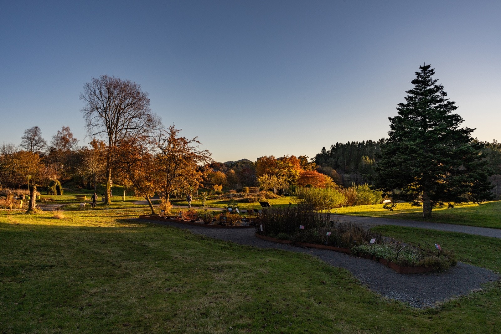 Det er fine turmuligheter ved Mildevatnet og ellers i skog og fjell nærliggende. Galleribilde