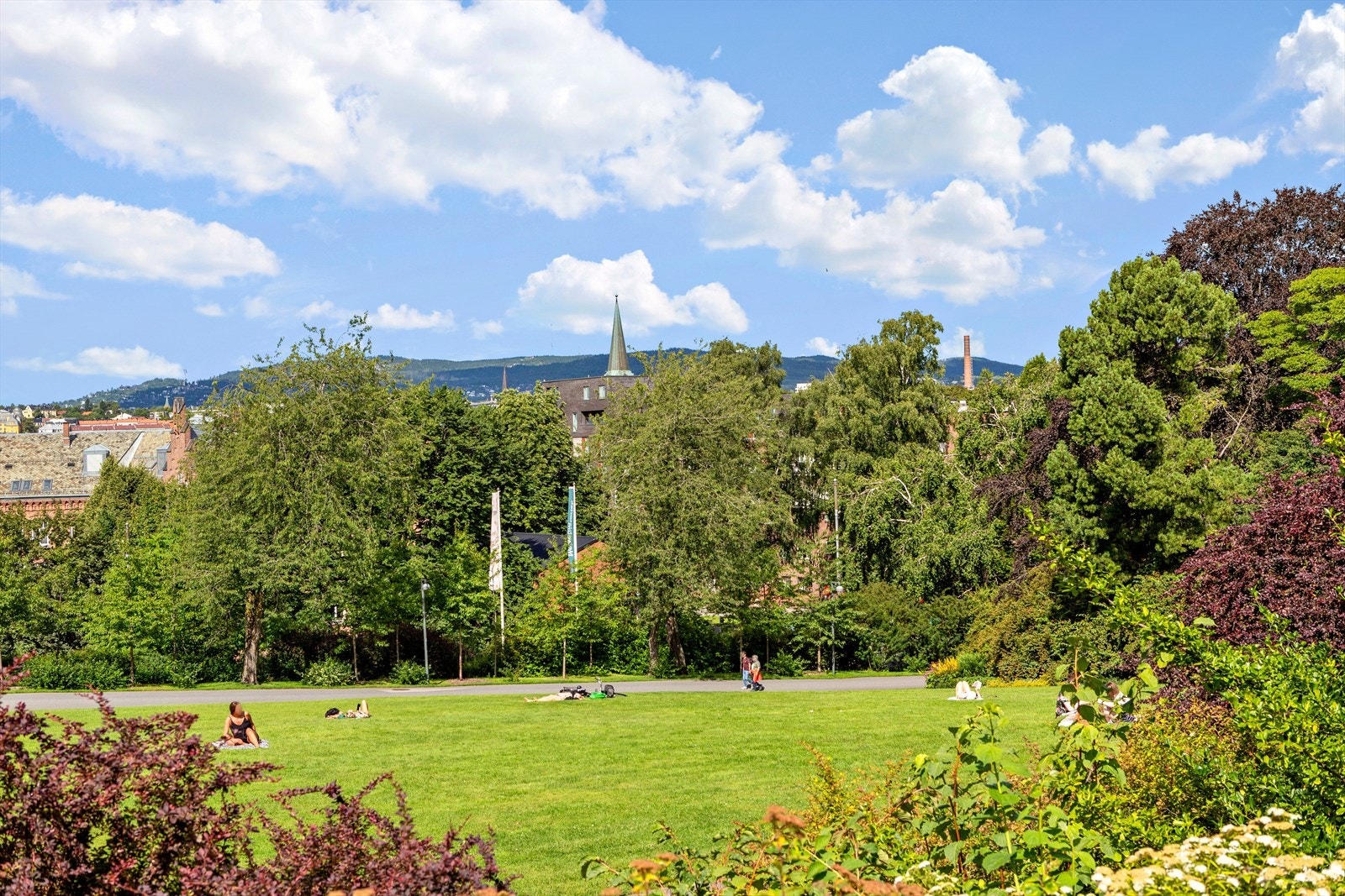 Botanisk hage: Grønne gressflater og frodig beplantning - en populær oase for rolige turer og piknik. Galleribilde