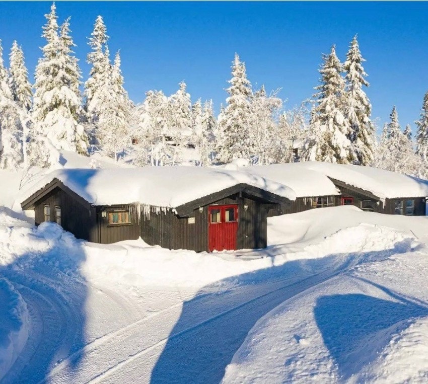 Solforholdene er svært bra på eiendommen. Bilde privat. Galleribilde