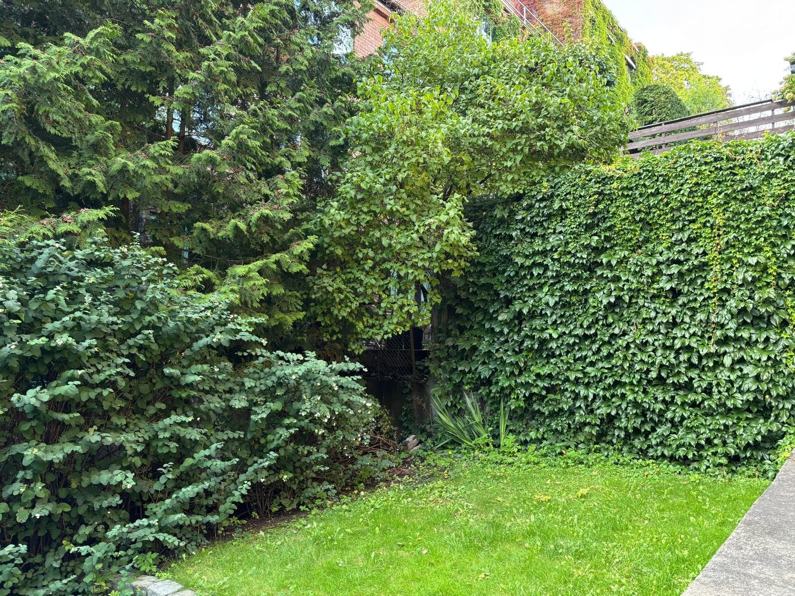 Selgers bilde av grønne fellesområder i sameiet. Galleribilde