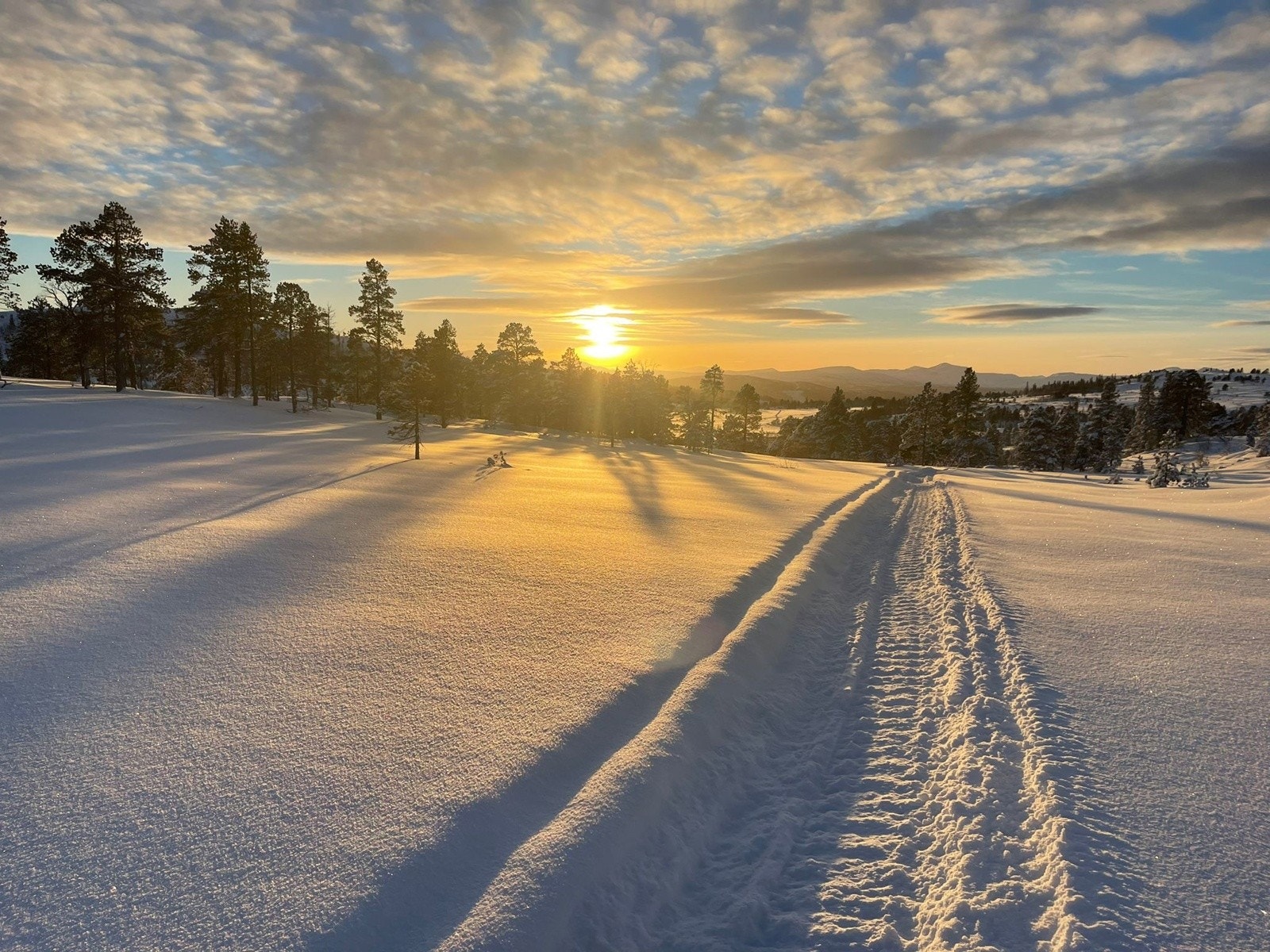 Her har man tilgang på flotte turmuligheter rett utenfor døren. Mulighetene er store med turløyper til Orkanger og Skaun med mange tilrettelagte stier og fantastiske skispor fra Seljan som strekker seg milevis og byr på fantastiske opplevelser. Galleribilde