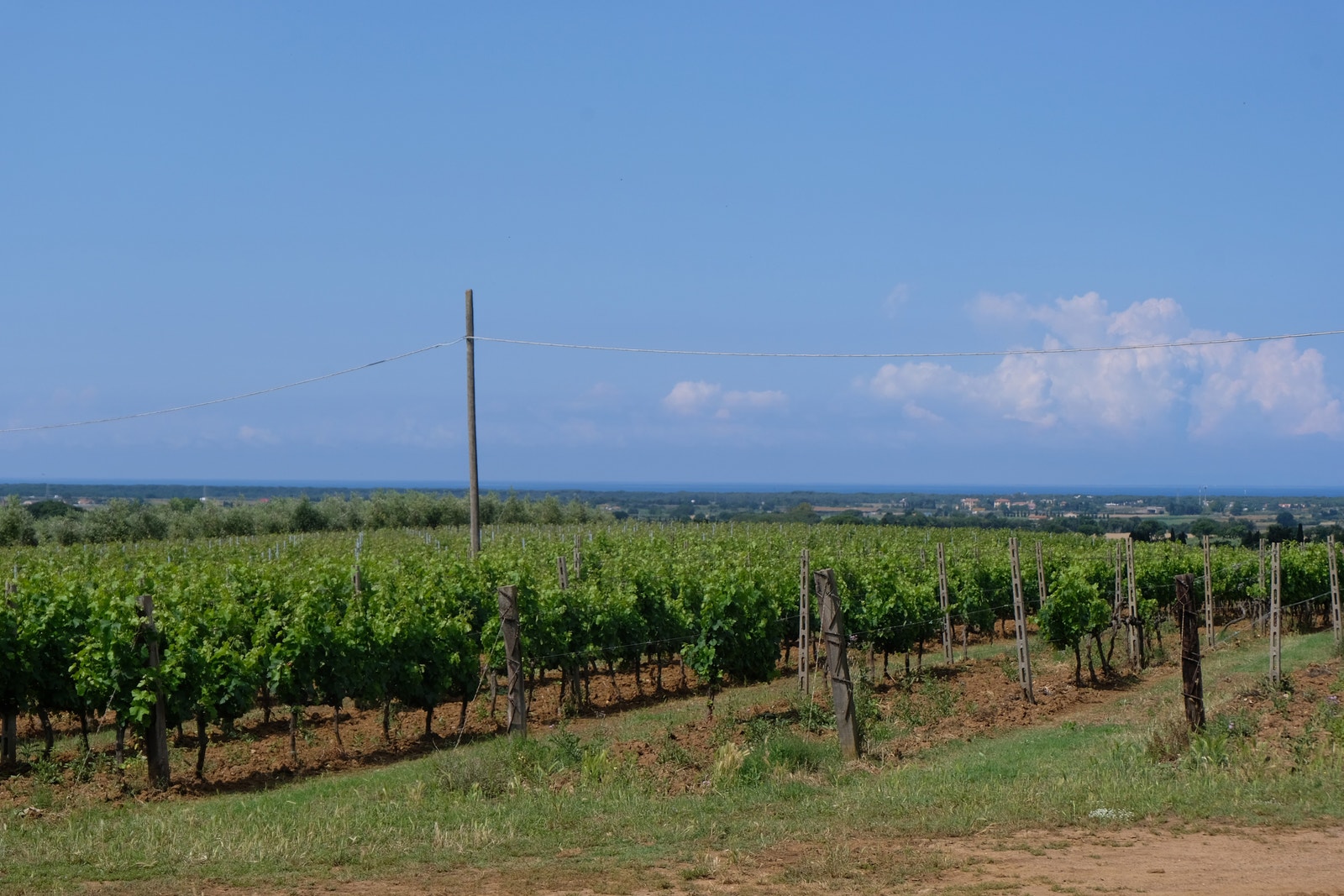 Bolgheri 07.06.2023 Galleribilde