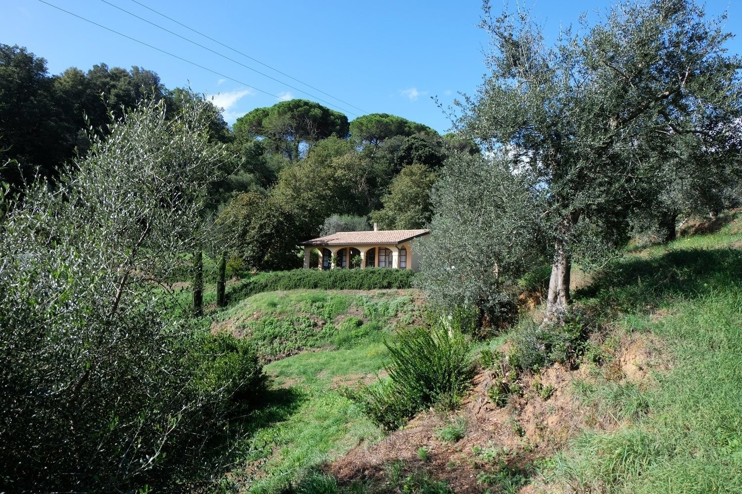 Vi jobber med prosjekt for basseng plassert i terrenget Galleribilde