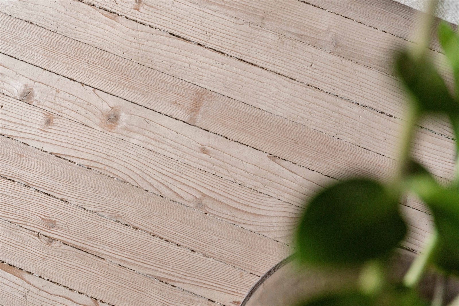 De lyse, noe hvittede tregulvene skaper en klassisk base i leiligheten. Galleribilde