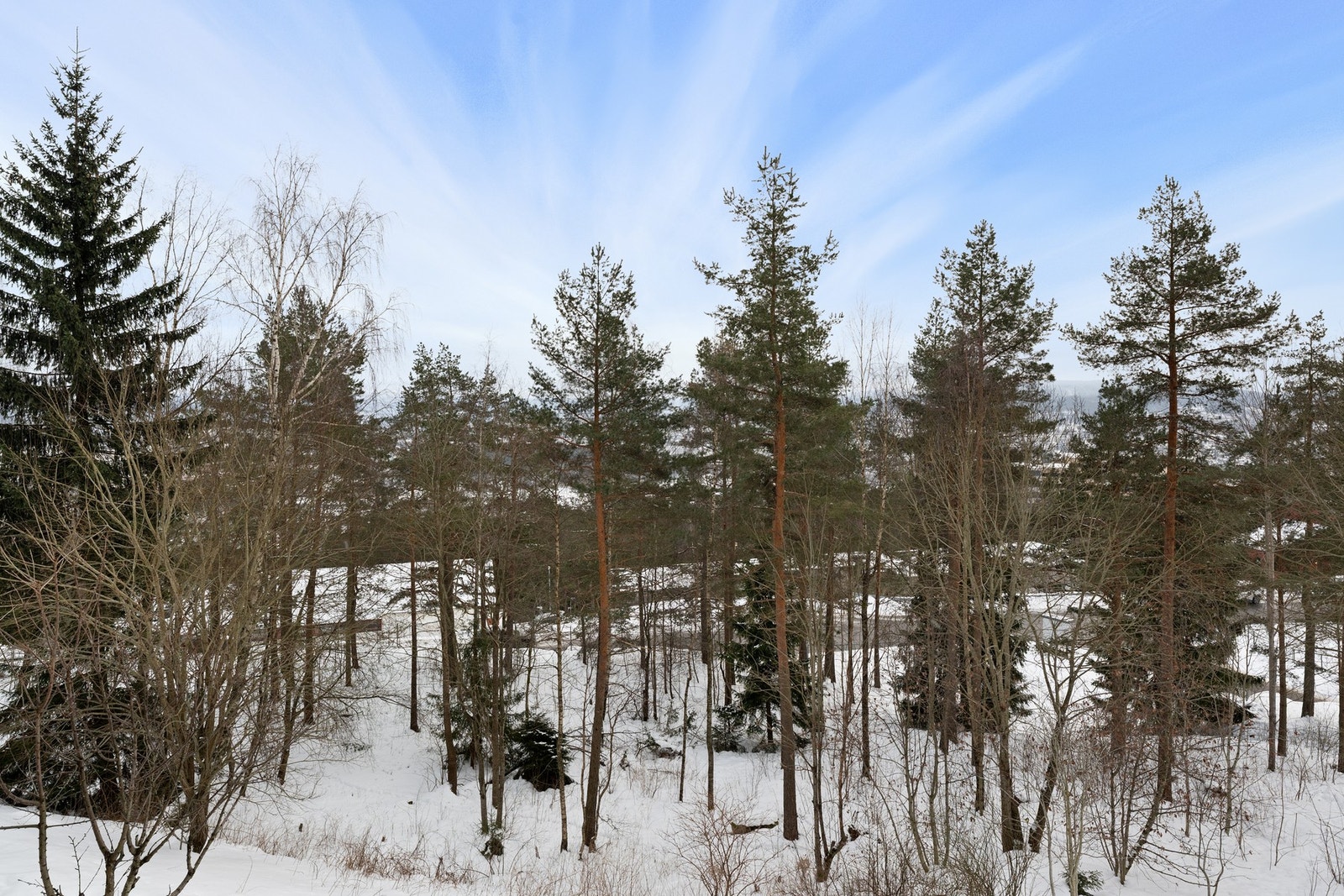Balkongen ligger skjermet og usjenert til med flott utsyn over grøntareal. Galleribilde
