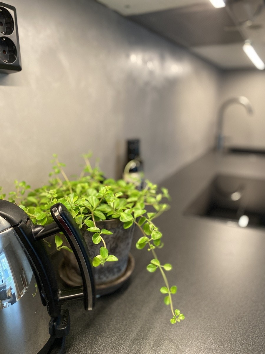 Stue/kjøkken Galleribilde