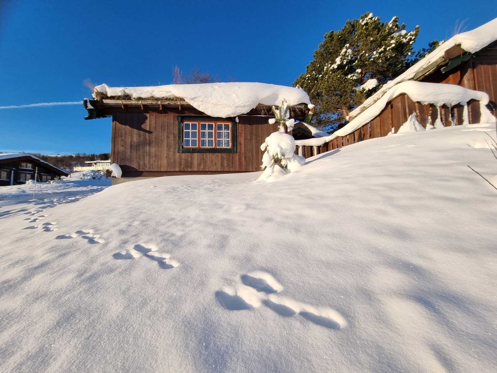 Fasade vinter Galleribilde