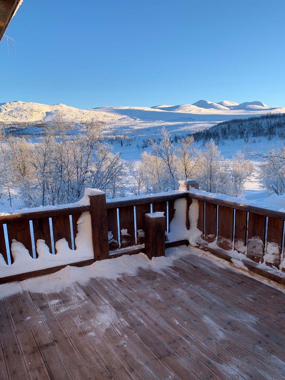 Fra terrassen om vinteren. Galleribilde