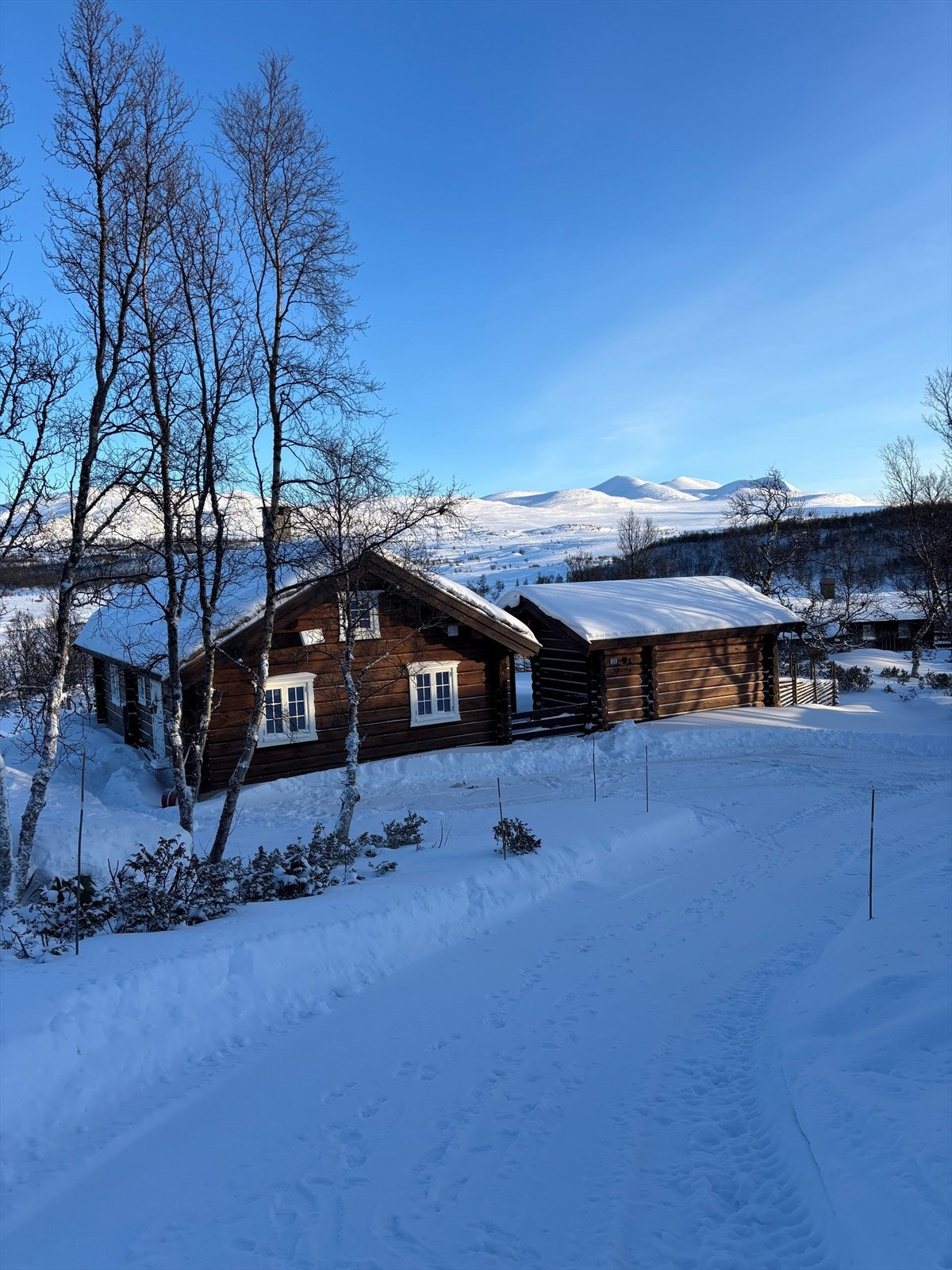 Velkommen til Lauvhaugen 33! Foto: Ivar Flagestad Galleribilde