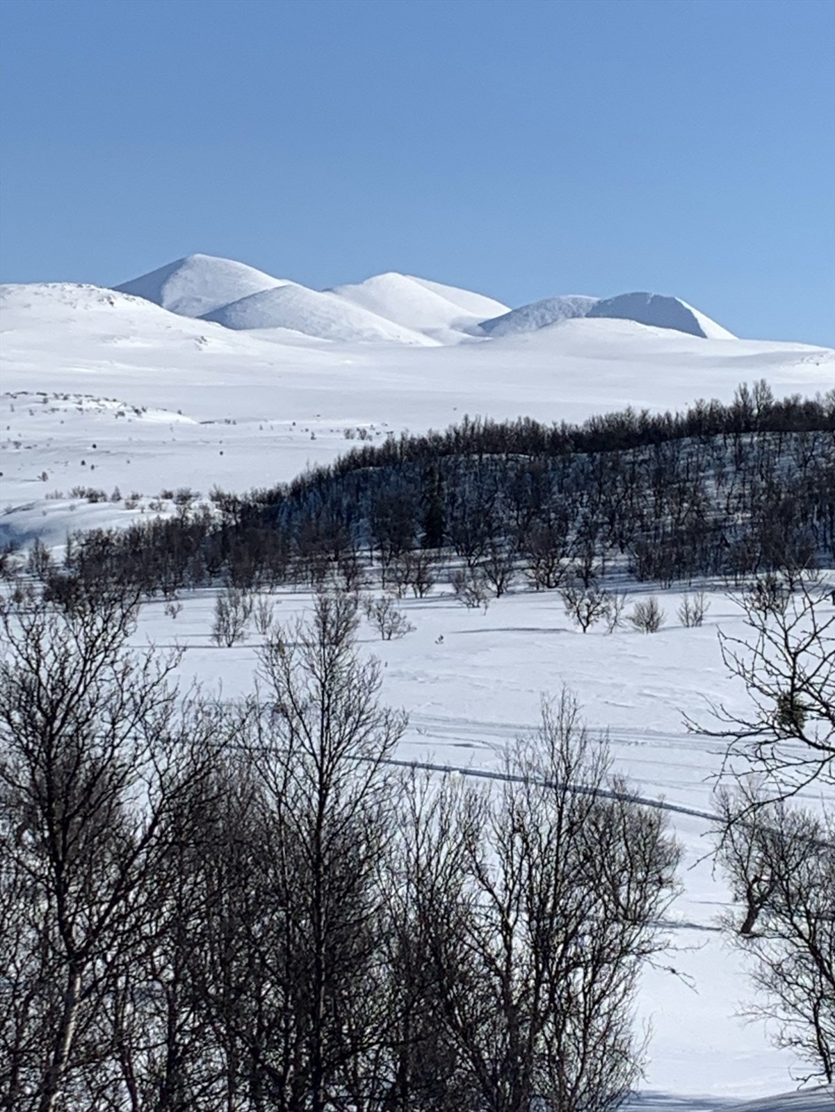 Flotte skiforhold. Galleribilde