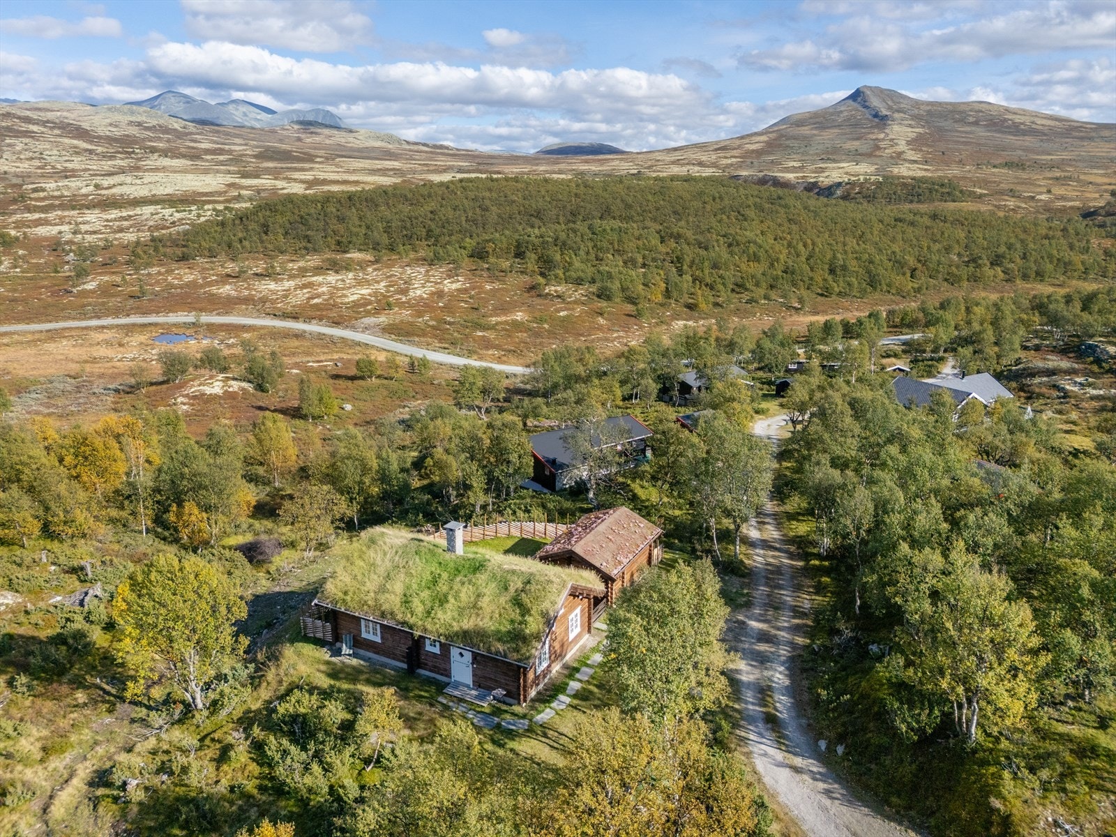Velkommen på visning - husk å melde deg på! Galleribilde