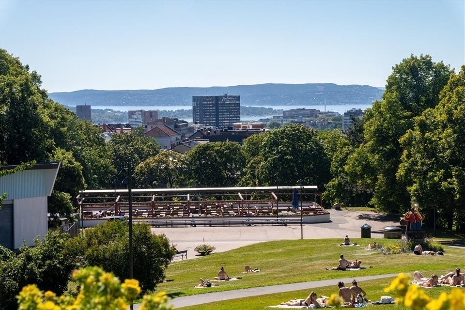 Vakre rekreasjonsområder rett i nærheten. Her i fra parken på St.Hanshaugen, kun et par minutter unna. Galleribilde