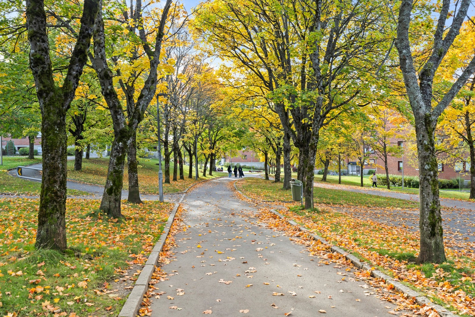 Kort vei til flere turområder. Galleribilde