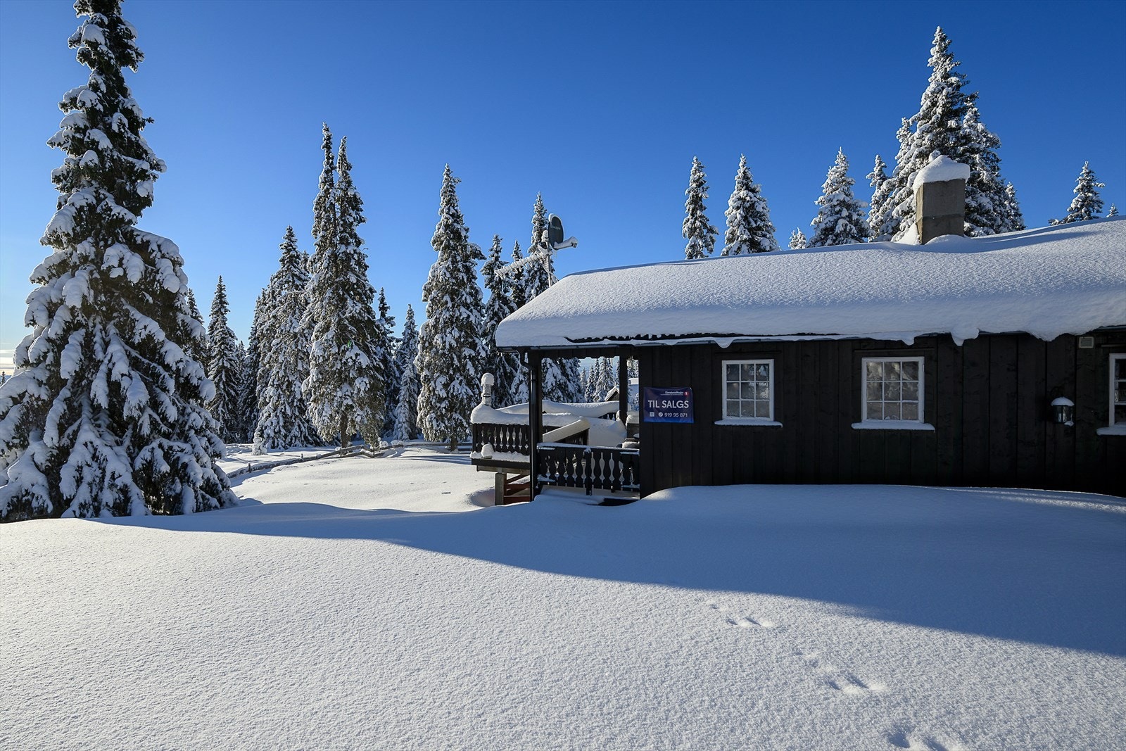 Hytta ligger tett på naturen, med skiløype rett utenfor inngangsdøren. Galleribilde