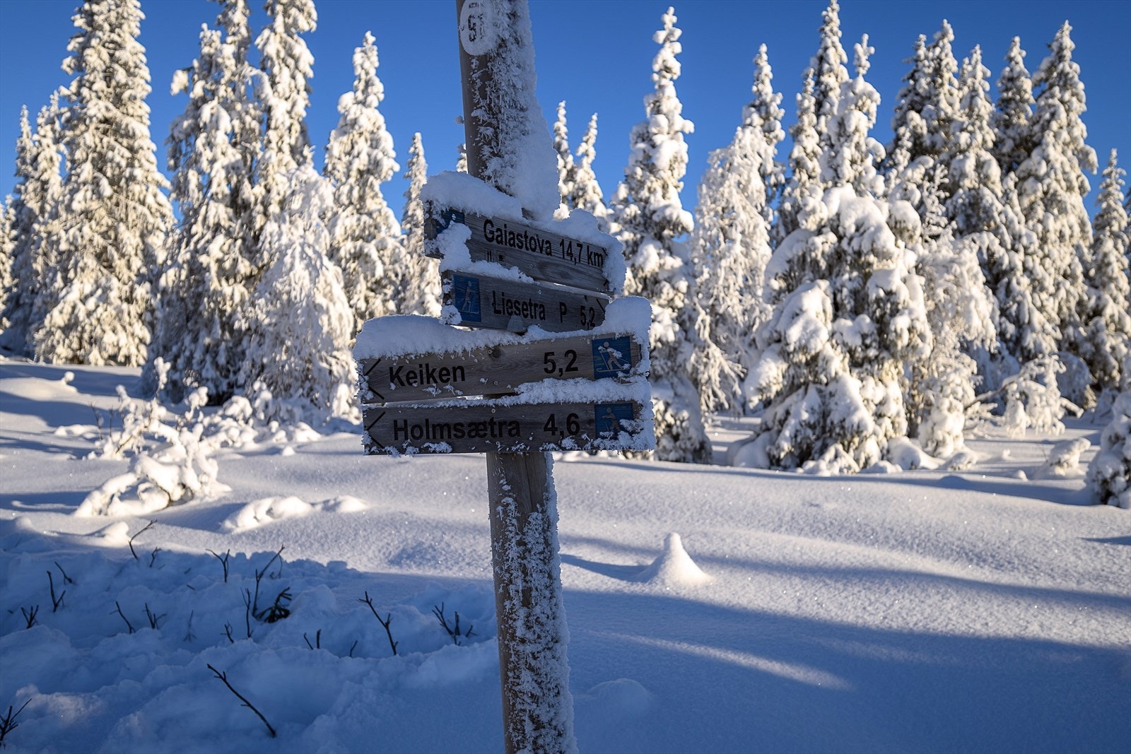 Løypenettet er utstrakt og gir deg mange muligheter for flotte skiturer Galleribilde