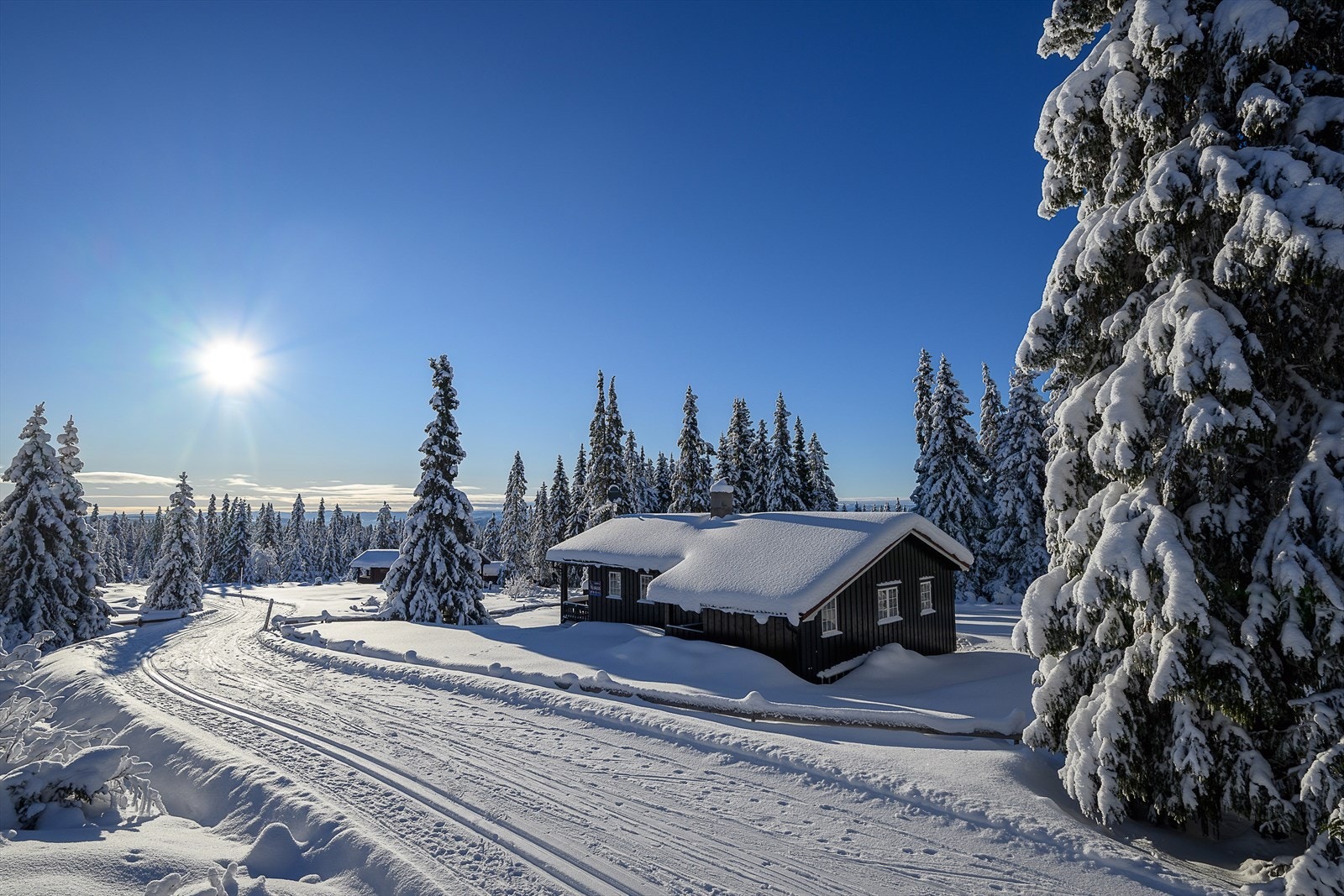 En sjarmerende trehytte omkranset av et åpent tun med inngjerding Galleribilde