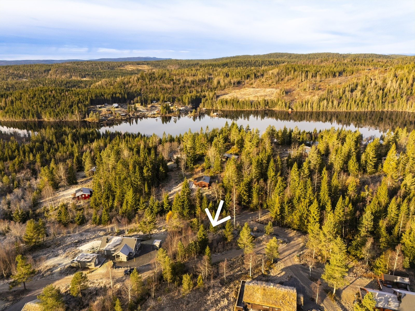Foto: Eirik Andersen Galleribilde