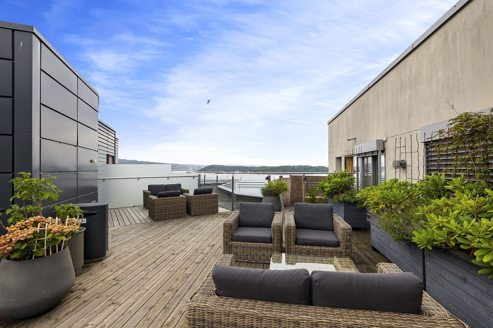 Felles takterrasse med fjordutsikt. Galleribilde