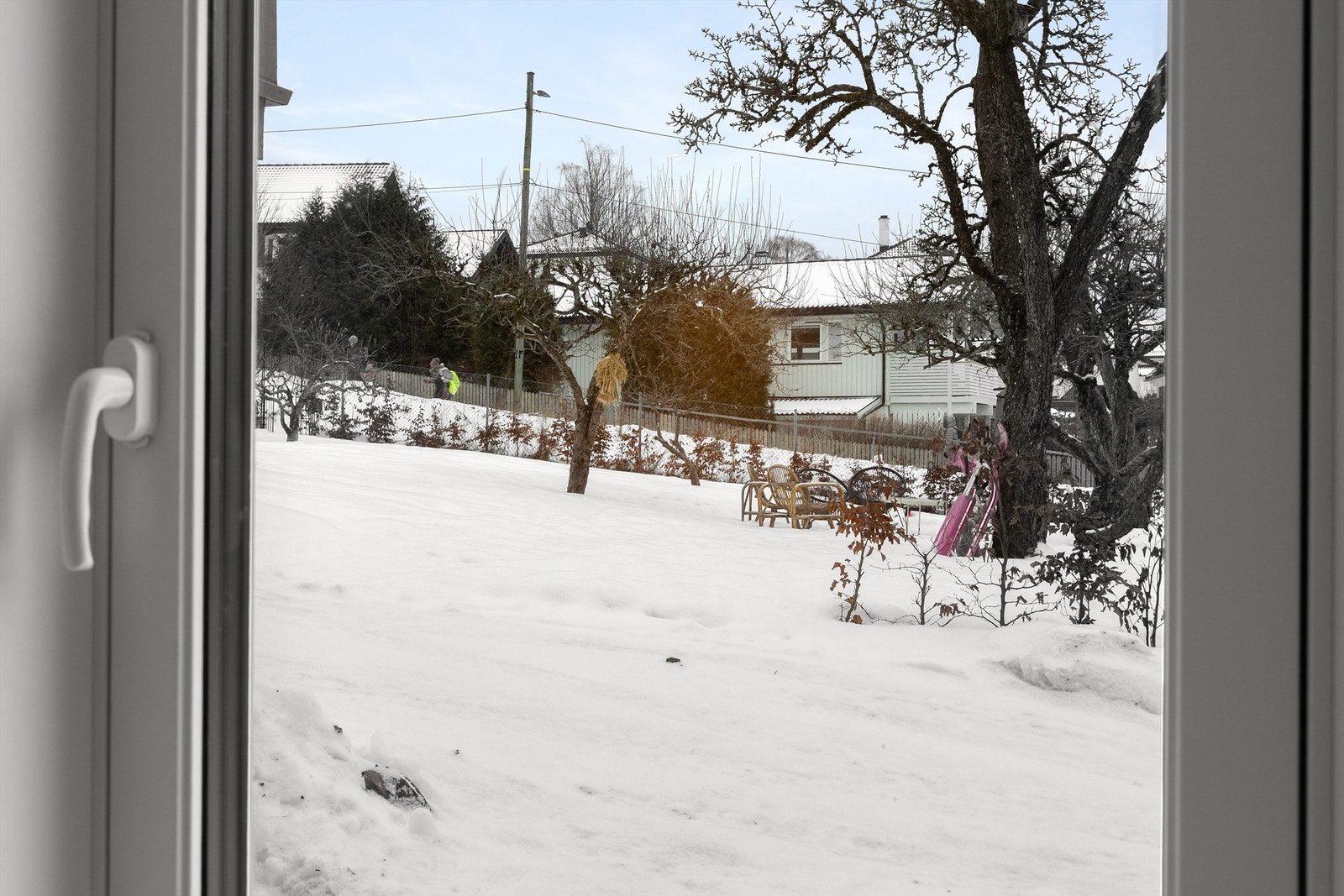 Område. Galleribilde