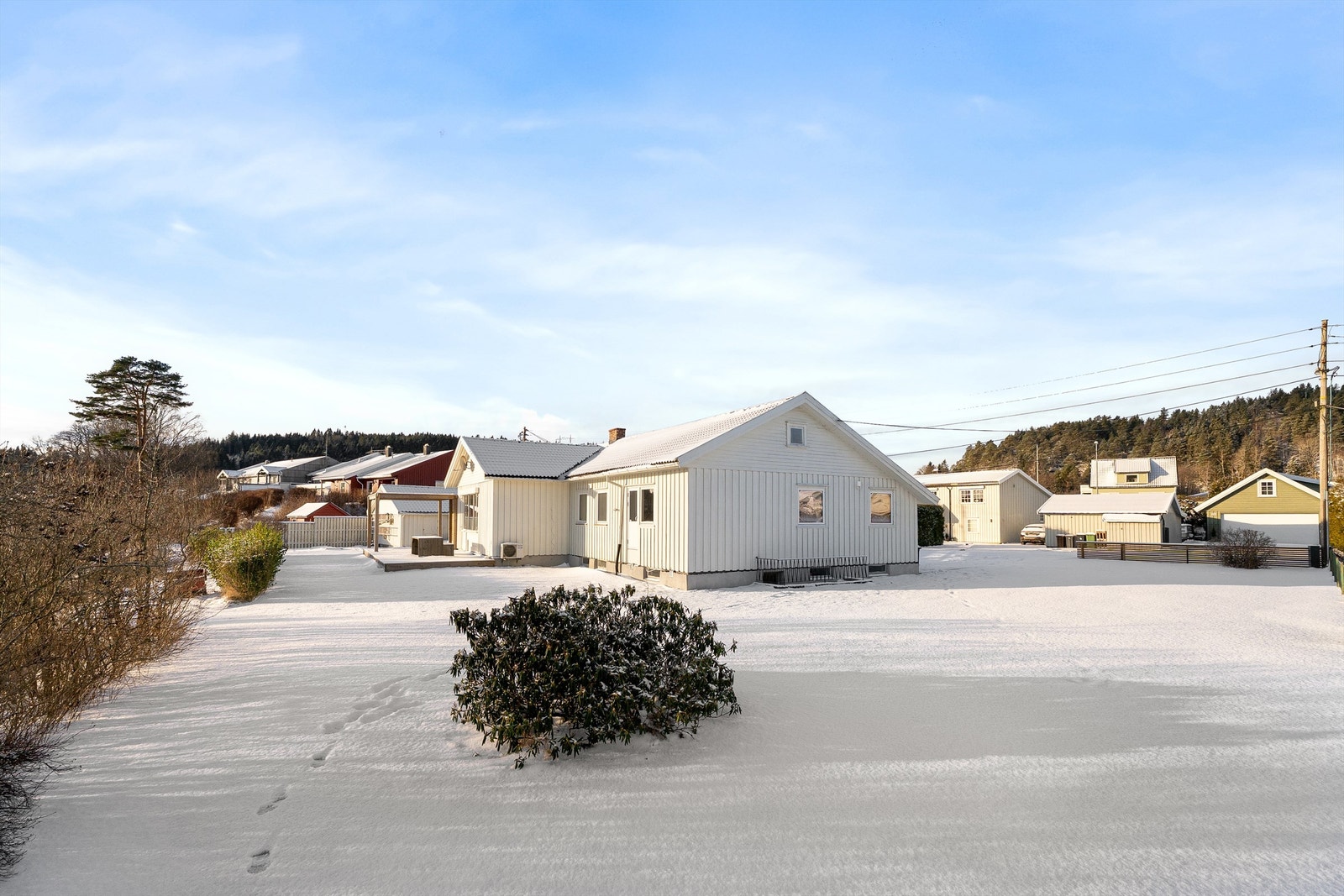 Fasadebilde i hagen Galleribilde