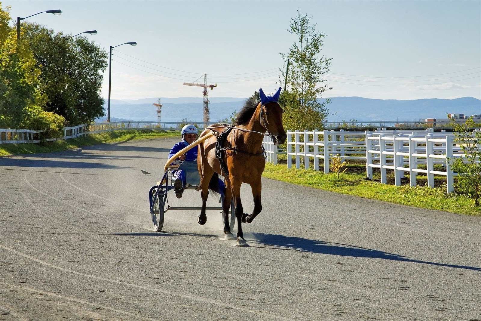 Bjerke Travbane ligger også i nærheten av boligen. Galleribilde