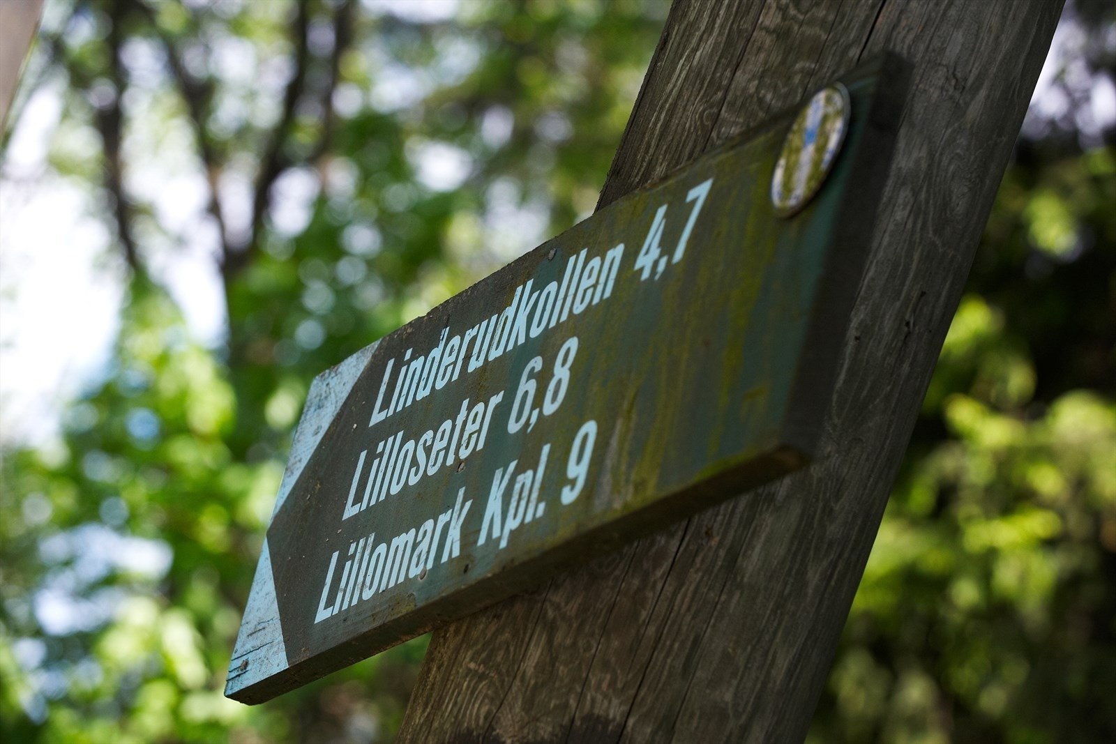 Her bor du også med Lillomarka "rett utenfor døren" - et eldorado for friluftsentusiaster med flotte turstier, lysløyper, badevann og vinteraktiviteter. Galleribilde