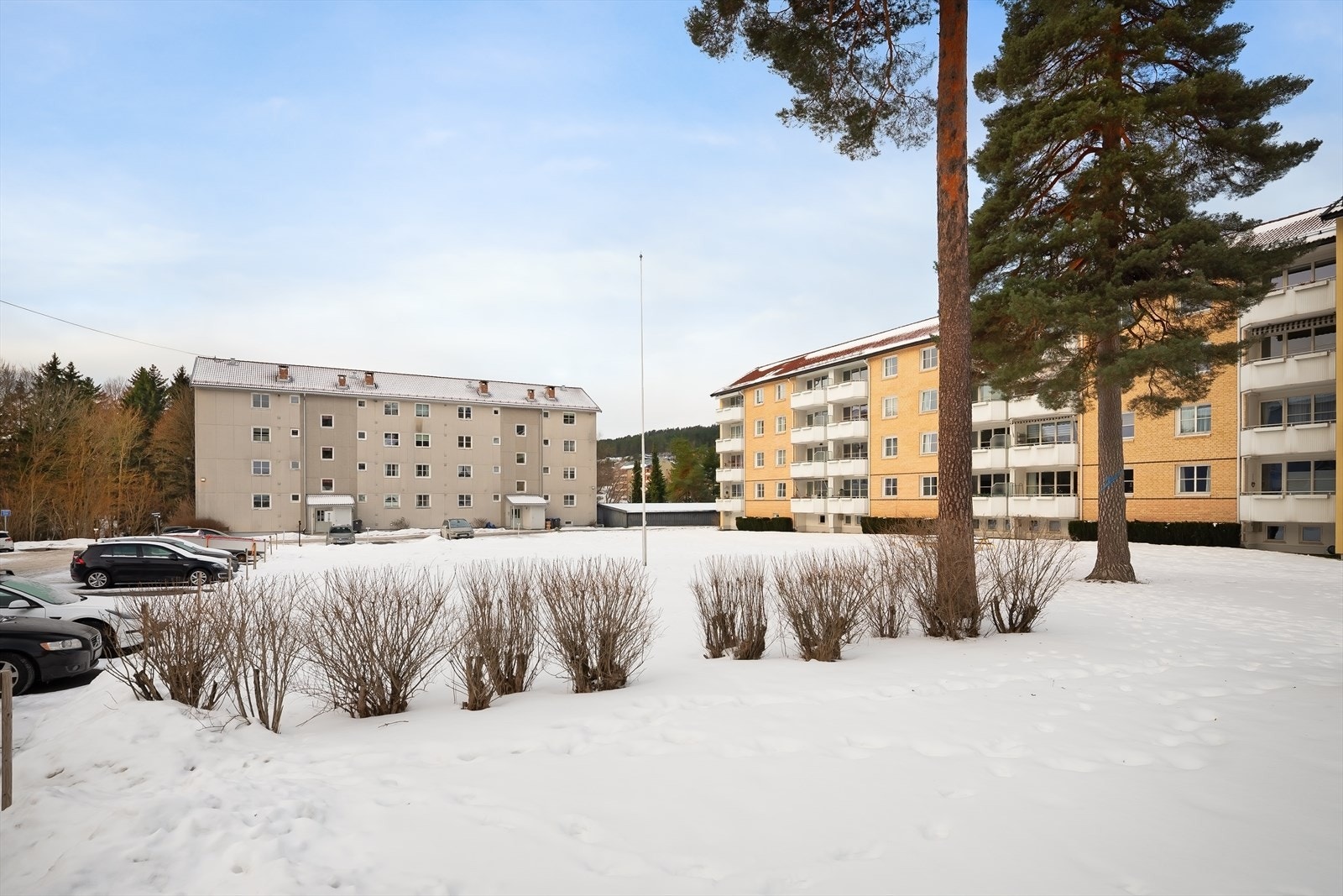 Pent opparbeidet fellestomt med asfalterte veier, gressplener, trær og beplantning. Galleribilde