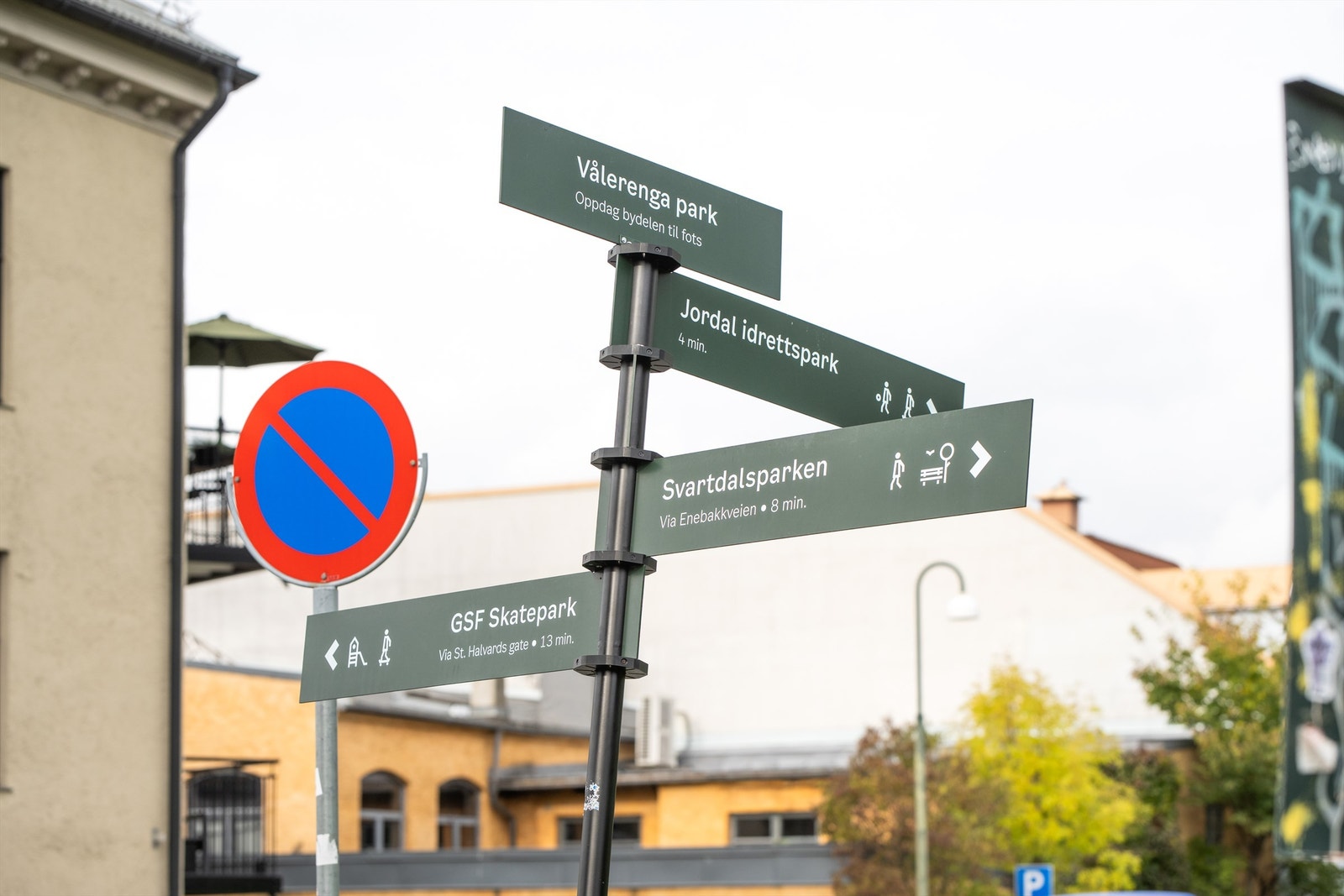 Flere flotte turmuligheter ligger i nærområdet. Galleribilde