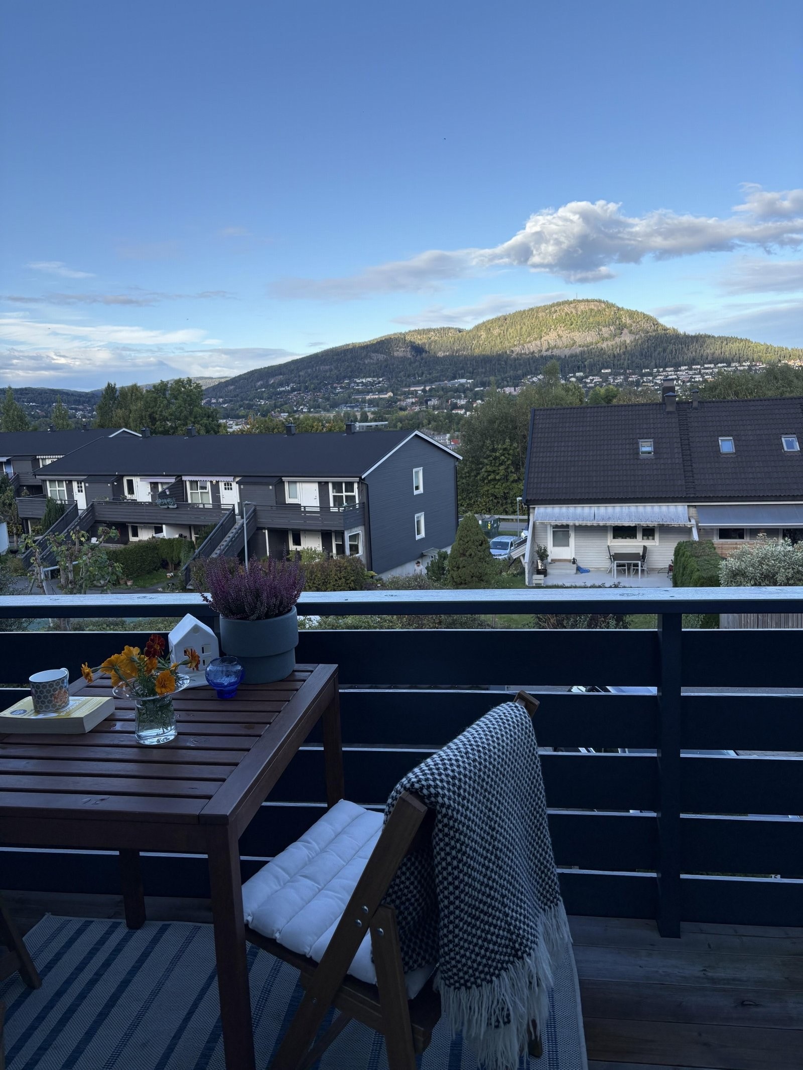 - Sommerbilde av utsikt mot Kolsåstoppen fra balkongen (bilde fra selger) - Galleribilde