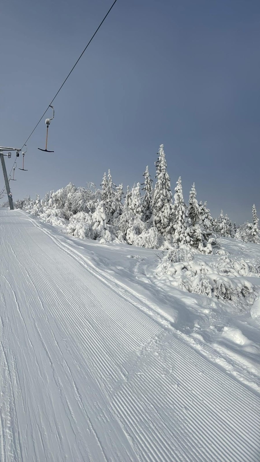 Selgers eget bilde fra bakken Galleribilde
