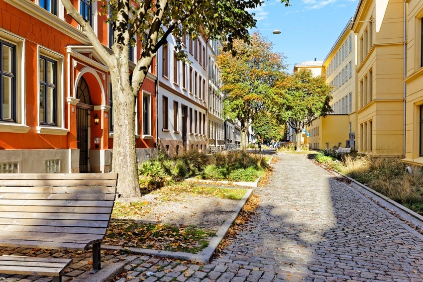 Nærmiljø. Galleribilde