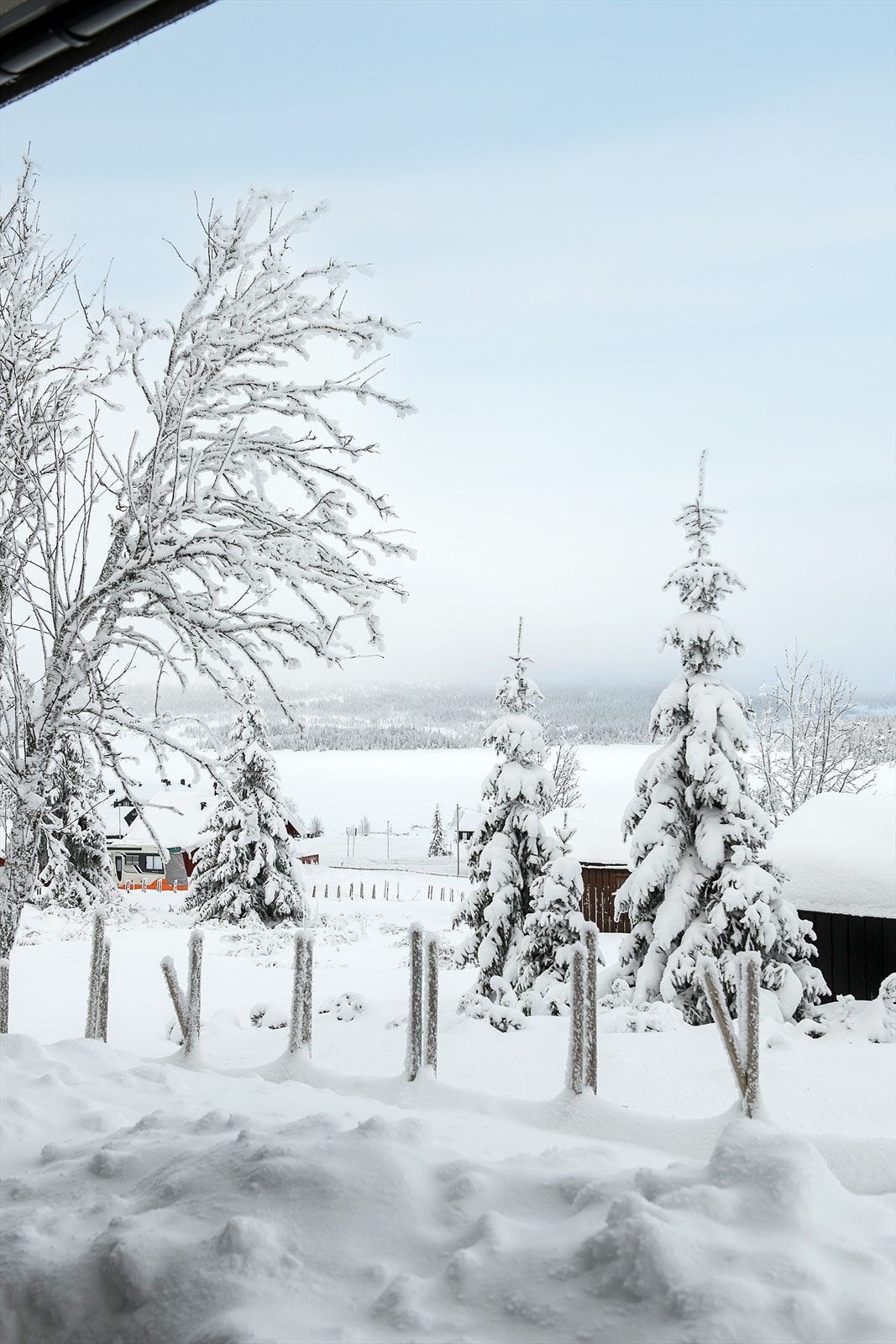 Nyt morgenkaffen med utsikt mot snødekte trær og fjell. Galleribilde