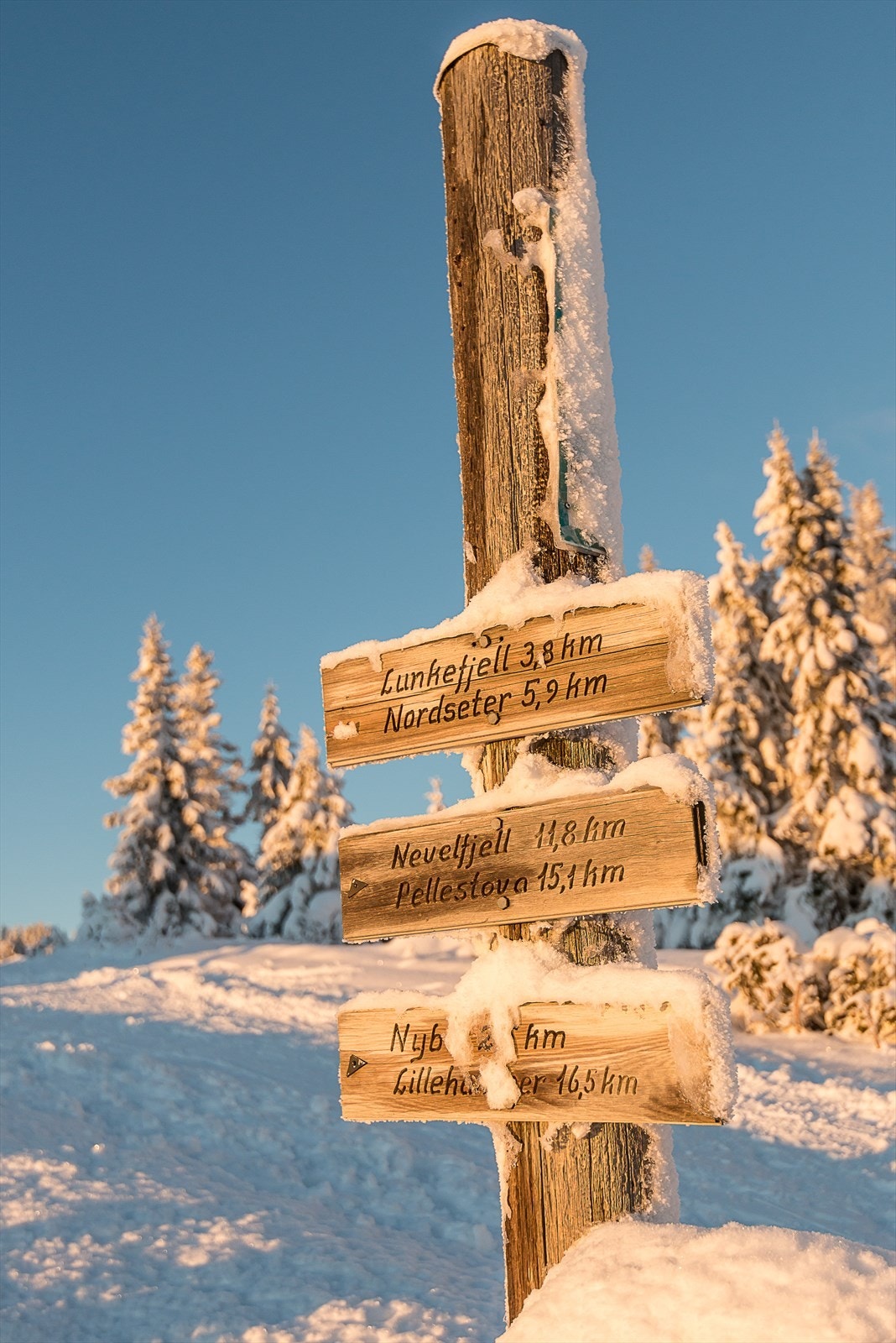 Om sommeren byr området på flotte tur- og sykkelmuligheter. Galleribilde