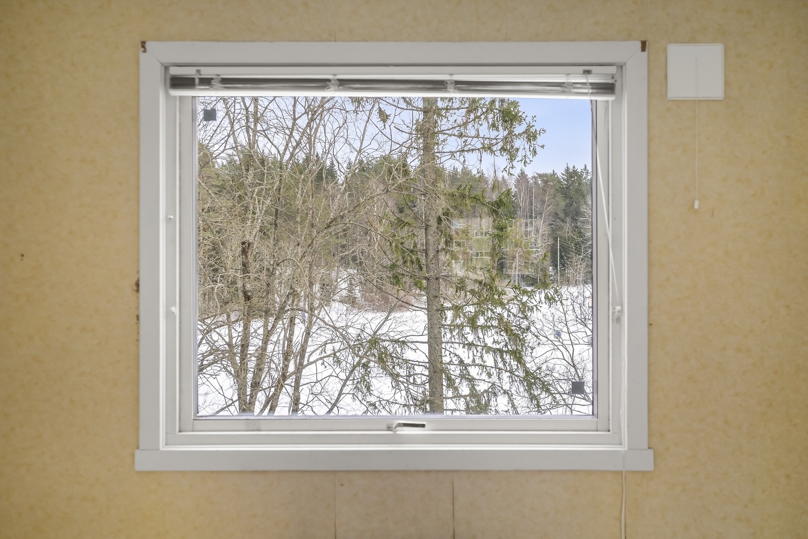 Fra soverommet ditt har du vinduet ditt ut mot marka - her får du ro, frisk luft og muligens fuglesang som vekker deg om morgenen? Galleribilde