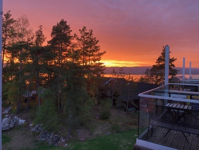 Selgers private bilder. Galleribilde