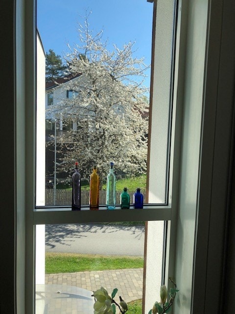 Selgers private bilder. Galleribilde