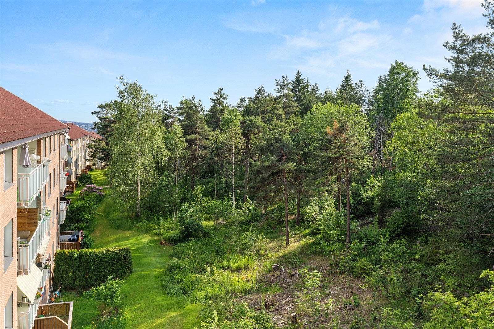 Utsynet fra balkongen er luftig og fritt med grønne omgivelser så langt øyet kan se. Galleribilde