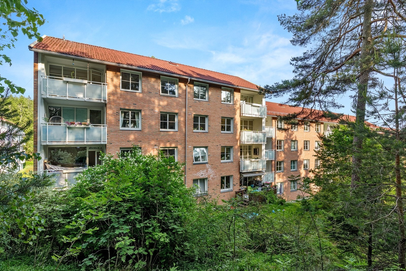 Fasade på sommeren. Svært frodig og lyst. Galleribilde