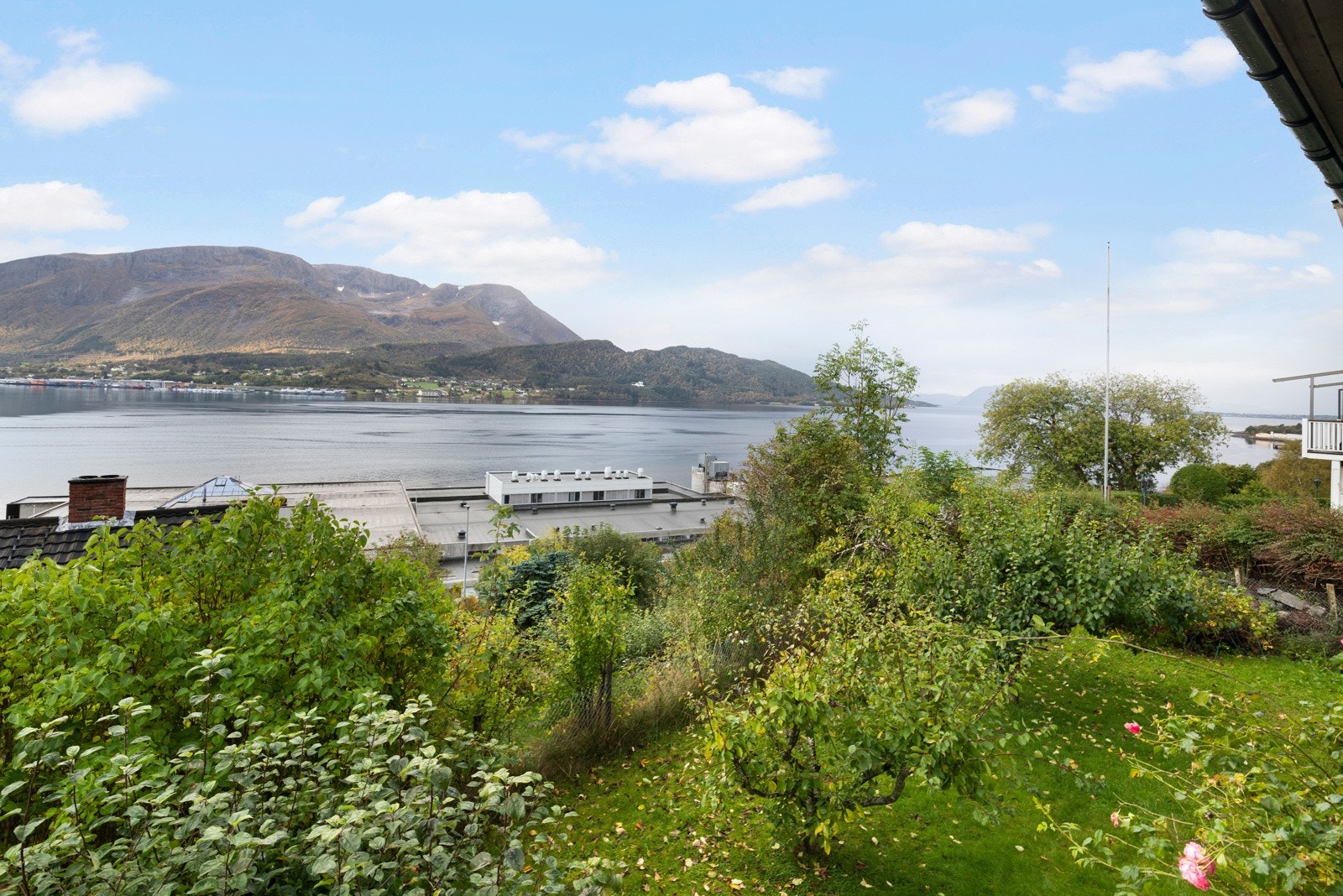 Utsikt. Galleribilde