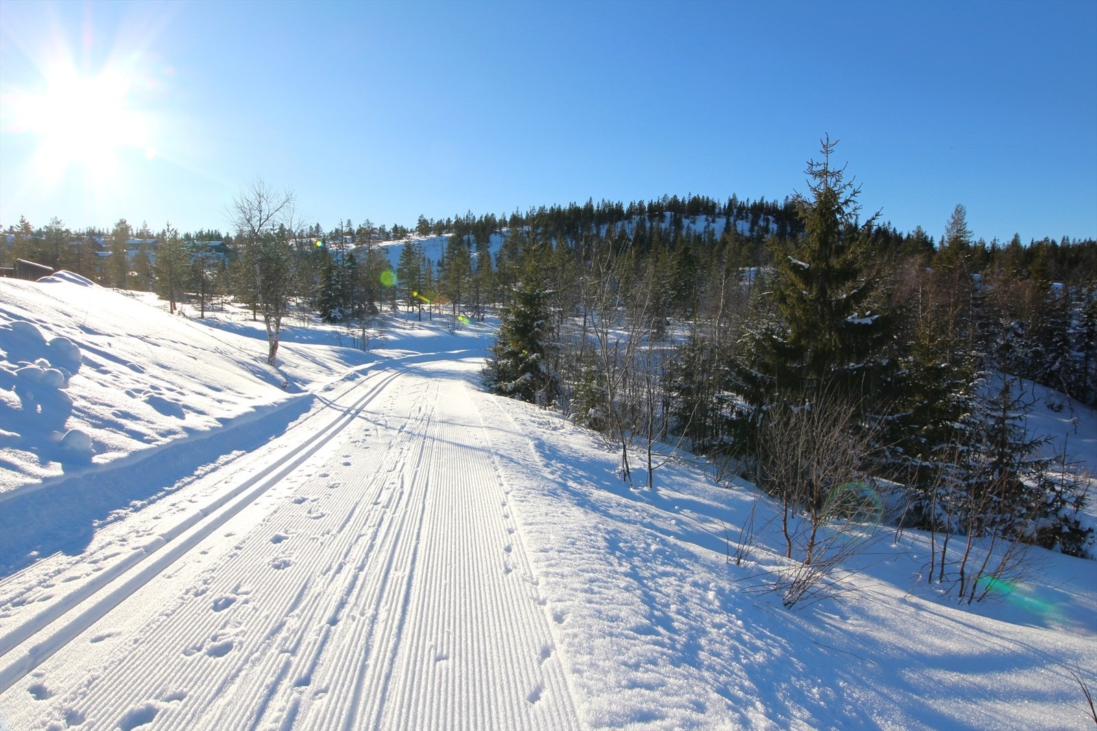 Tilbringerløypa rett bortenfor hytta - rett inn i løypenettet Galleribilde